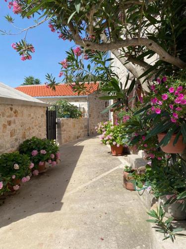 Dracevica House | Villa Rosa, Dracevica 46a, Brac