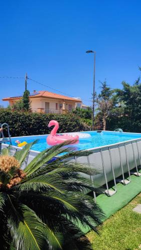 Mandra Capreria Villa | Villa Rosa Holidays