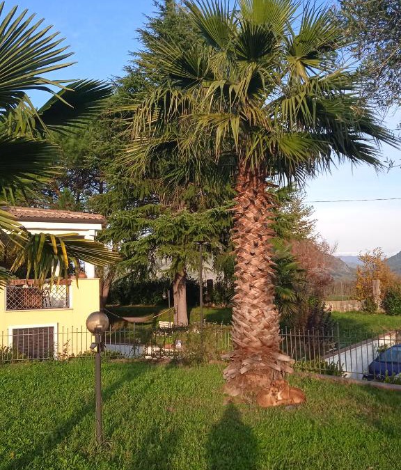 Vairano Scalo Bed & Breakfast | Villa Rosanna