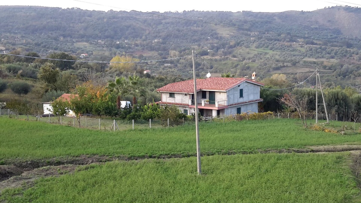 Pizzo House | Villa Rosetta in the middle of nature, surrounded by palm and olive trees