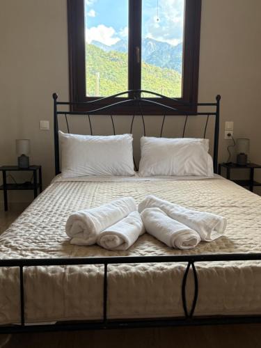 Konitsa Apartment | Villa Rozalia