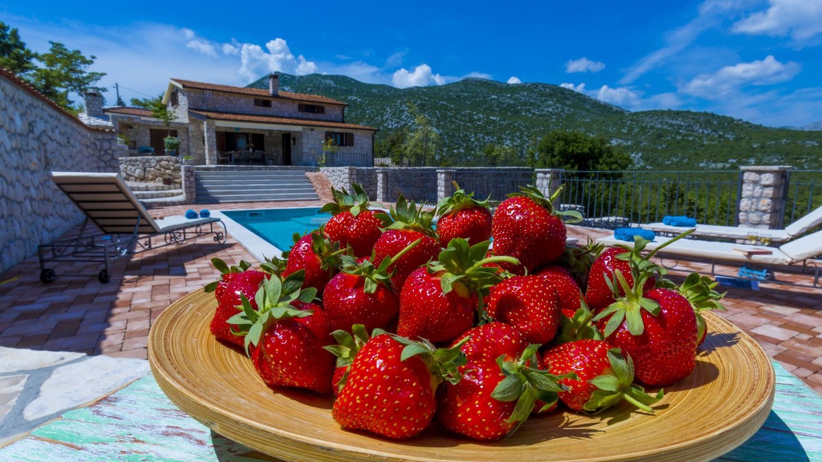 Vrgorac Villa | Villa Rustica Duge Njive