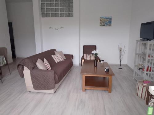 Olbia Apartment | VILLA SA MINDA NOA 2 camere 2 bagni ARIA CONDIZIONATA e giardino