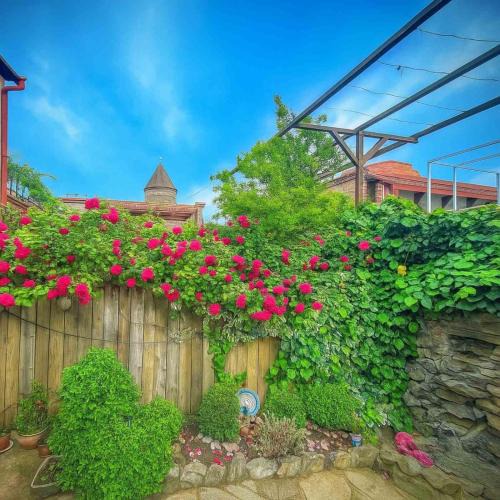 Mtskheta Villa | VILLA SABA WITH TWO BEDROOMS- სასტუმრო საბა