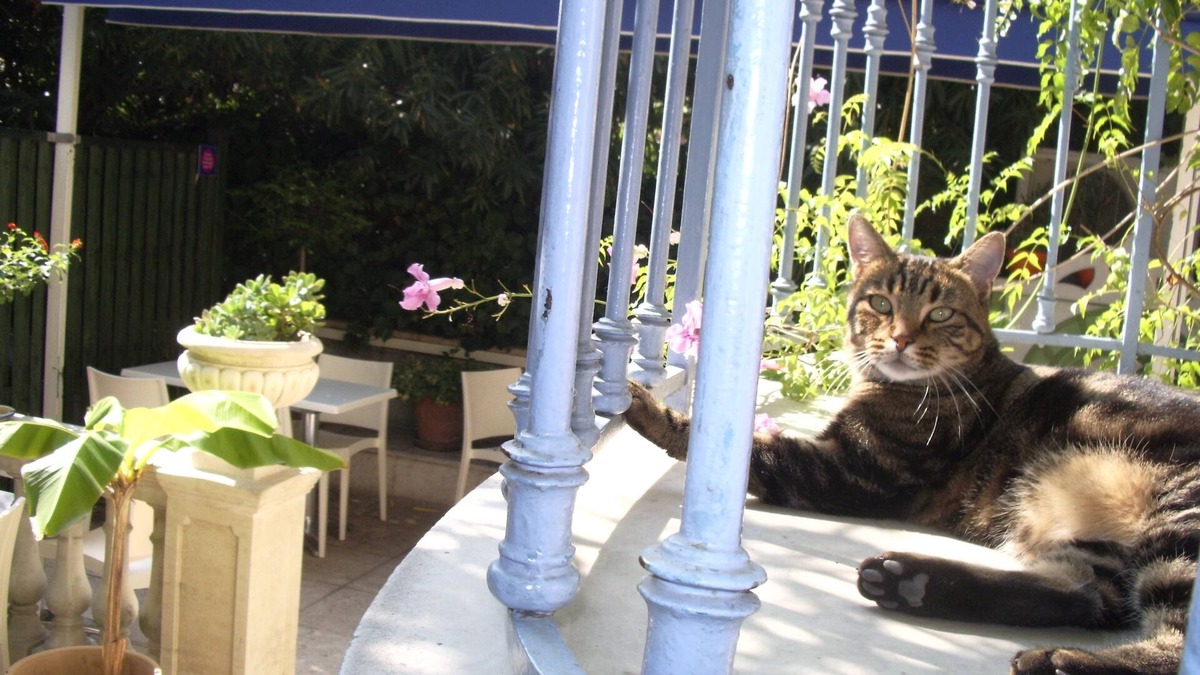 Liberation Hotel | Villa Saint Hubert
