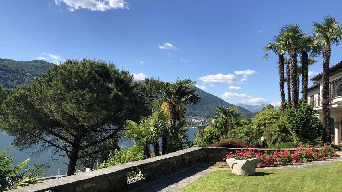 Collina d'Oro Apartment | Villa SamarCasa