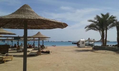 Al Mamsha El Seyahi House | Villa Sara Touristic Center
