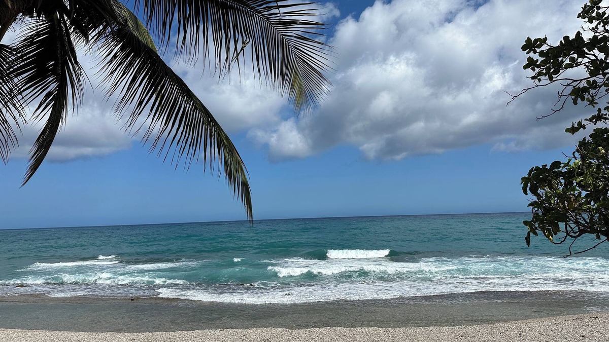 La Cienaga Bed & Breakfast | Villa Sea Foam Shore
