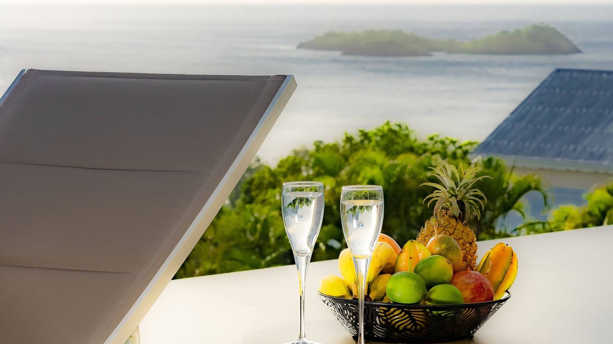 Bouillante Villa | Villa sea view and reserve cousteau with mirror pool 5*