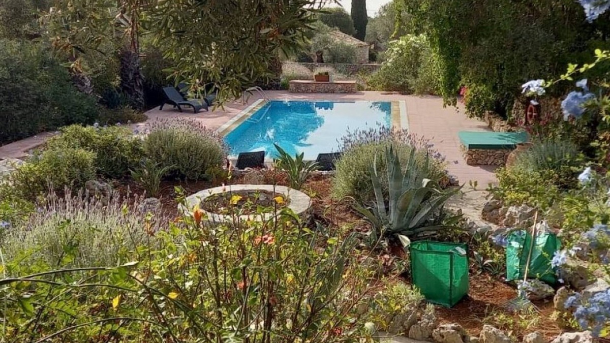 Korithi Villa | Villa set within private courtyard surrounded by mature olive trees