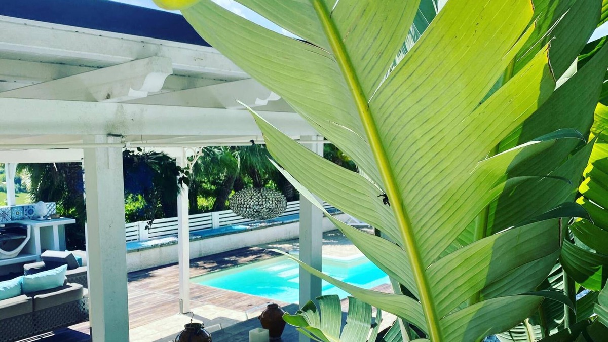 Civitanova Alta House | Villa Silvio