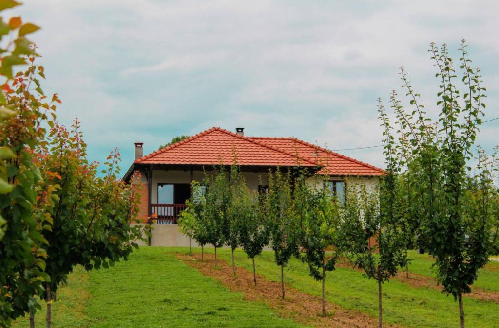 Mladenovac Villa | Villa Sladjana
