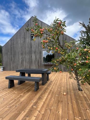Pavilosta House | Villa Sudrabiņi
