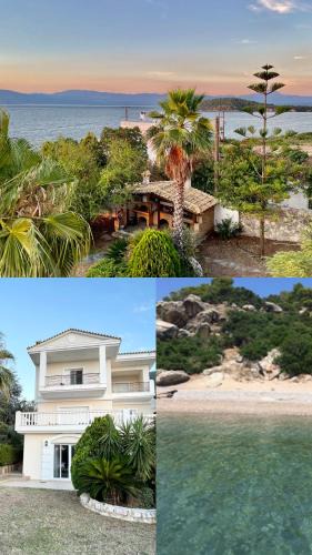 Chalcis Apartment | Villa sul Mare