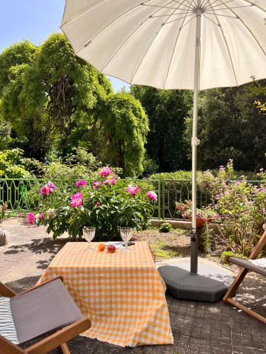 Laconi House | Villa Sveva