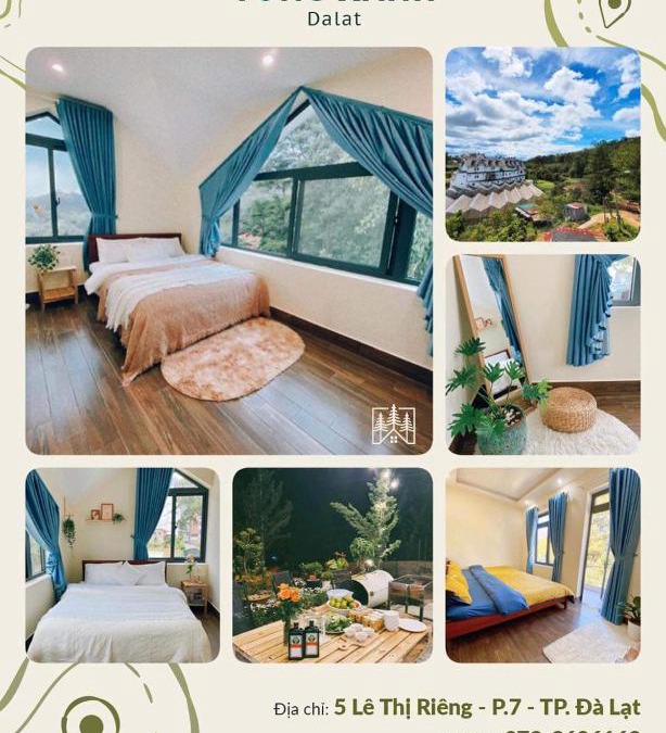 Da Lat House | Villa Tùng Xanh