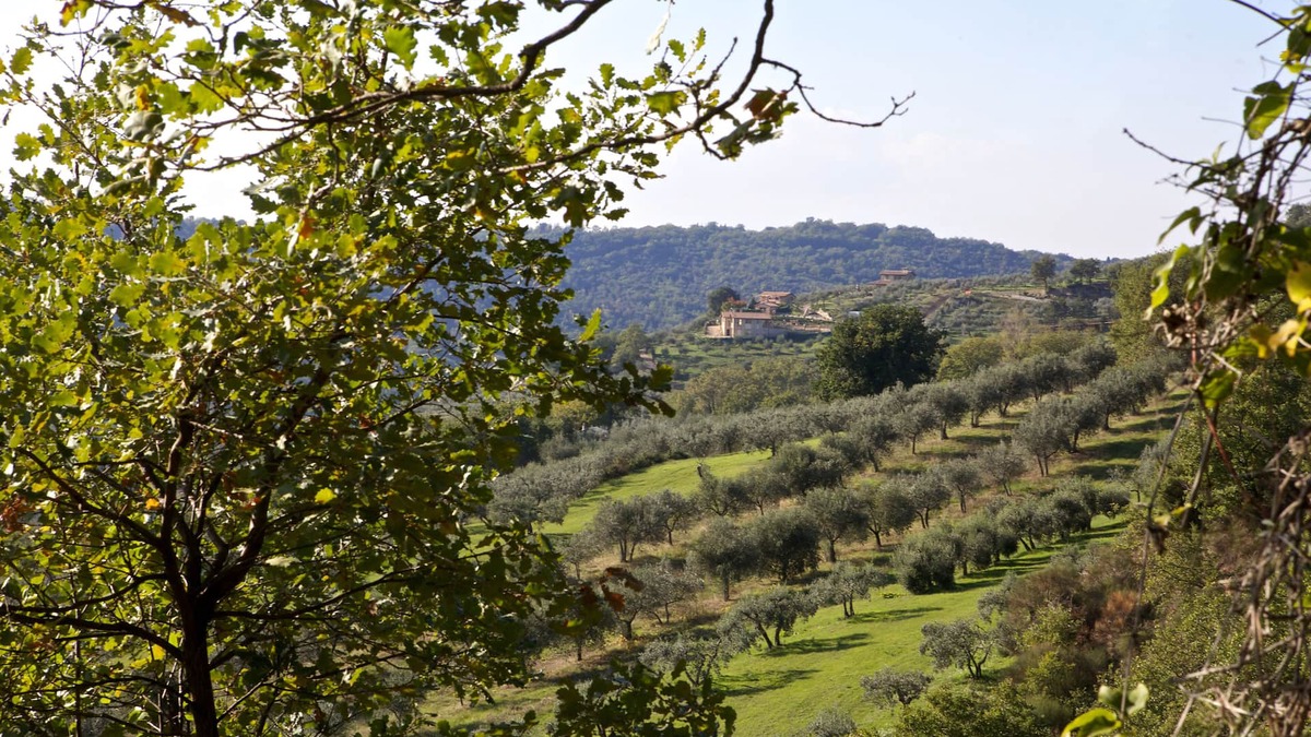 Gualdo Cattaneo House | VILLA TILLA: PEACE, PRIVACY, RESERVED POOL, HUGE VIEW. IT'S PARADISE.