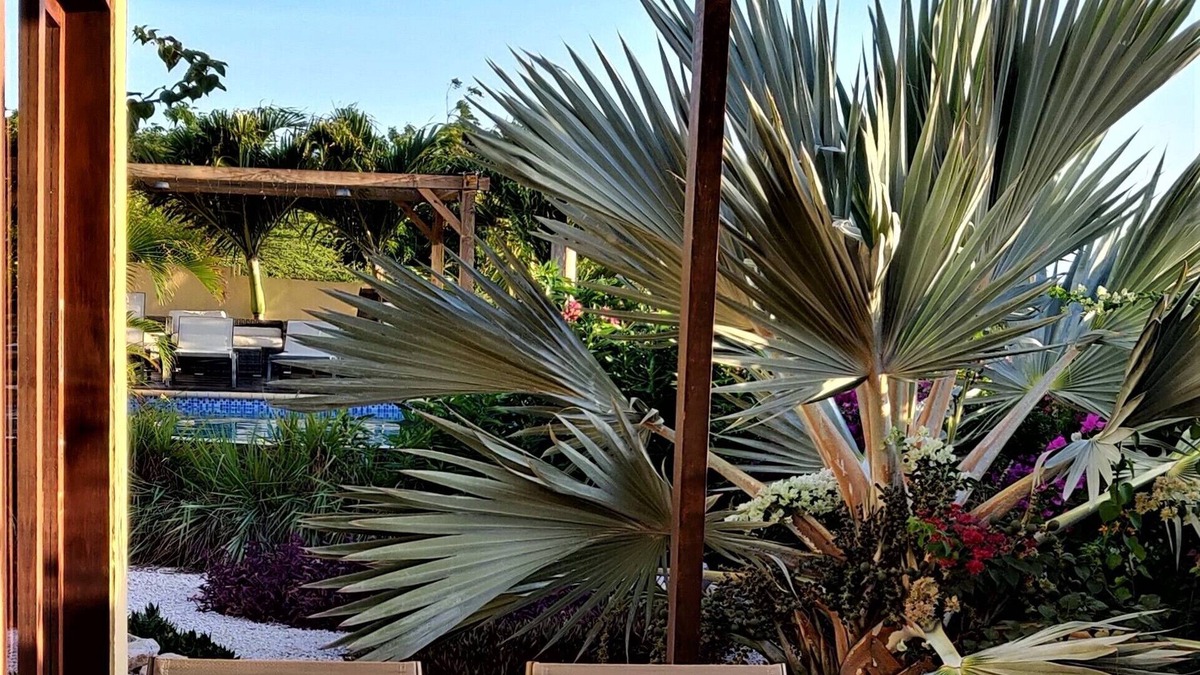 Cas Grandi Hotel | Villa Topzicht Curaçao