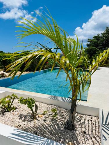 Les Terres Basses Villa | Villa Tropical Heaven - Terres Basses