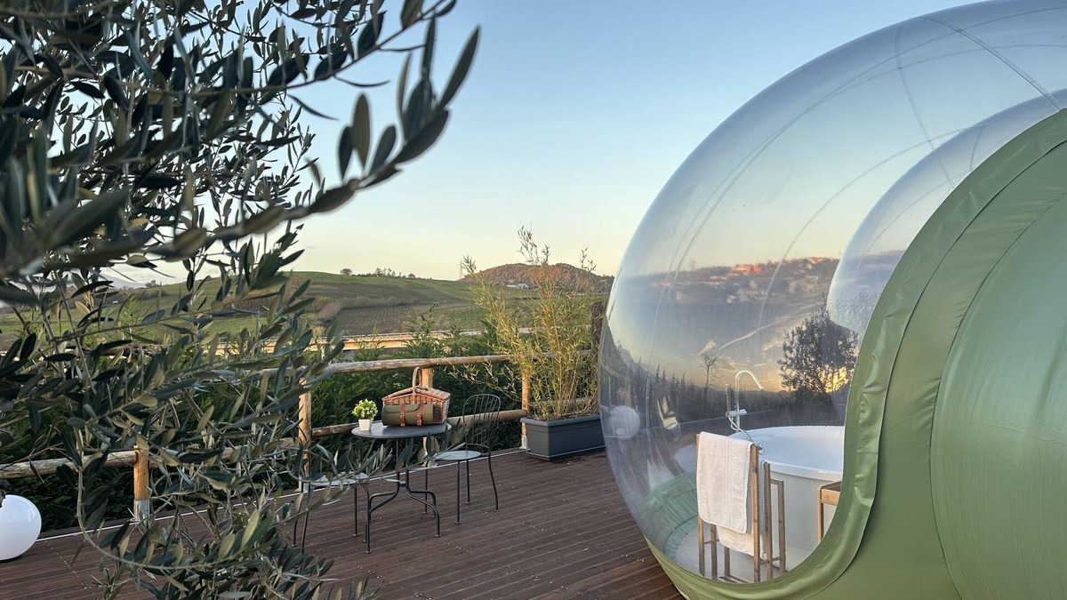 Filiano Bed & Breakfast | Villa Ulivi