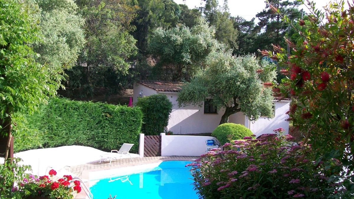 Eccica-Suarella Villa | VILLA UNDER THE OLIVE TREES