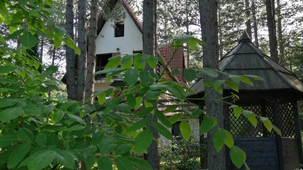 Zlatibor House | Villa Vera; a cozy house in the mountains