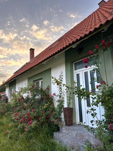 Comiat Villa | Villa Viktória
