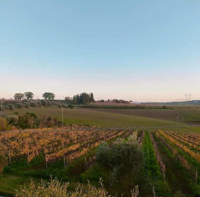 Ferretto House | Villa vista vigneto