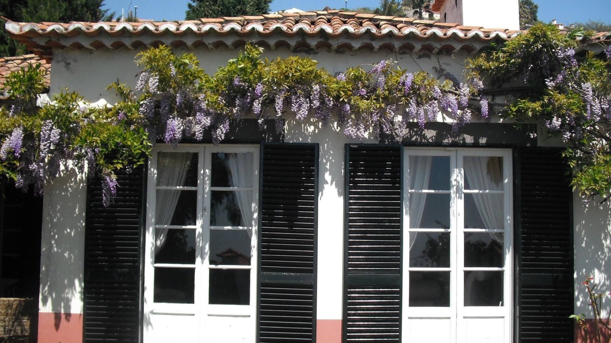 Santo Antonio House | Villa Wisteria