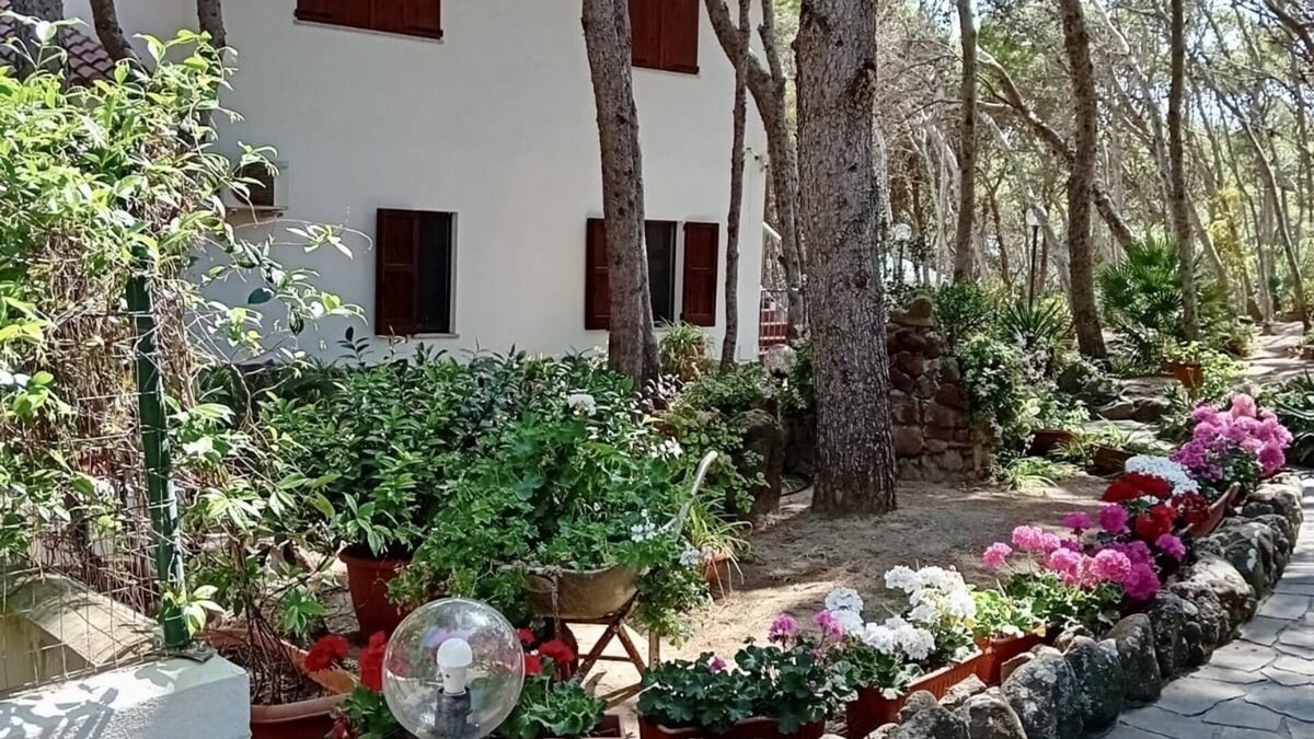 Porto Pino Villa | Villa with direct access to the sea - Porto Pino CIN IT111070C2000S3244
