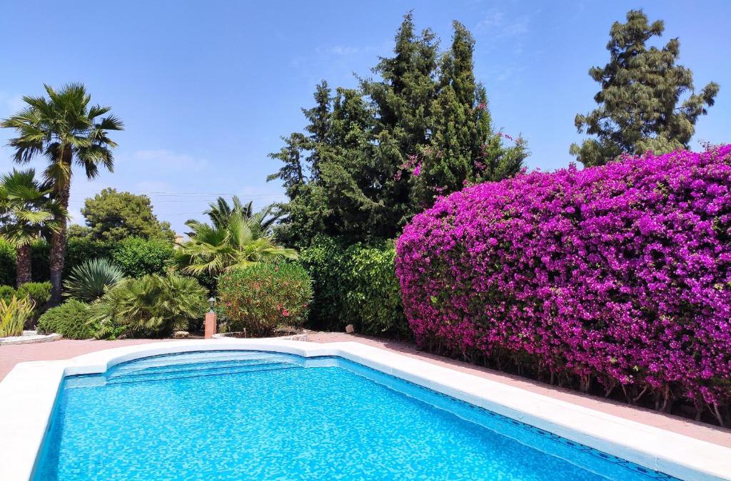 San Vicente del Raspeig Villa | Villa with Private Pool, BBQ, Fitness Center & Sauna