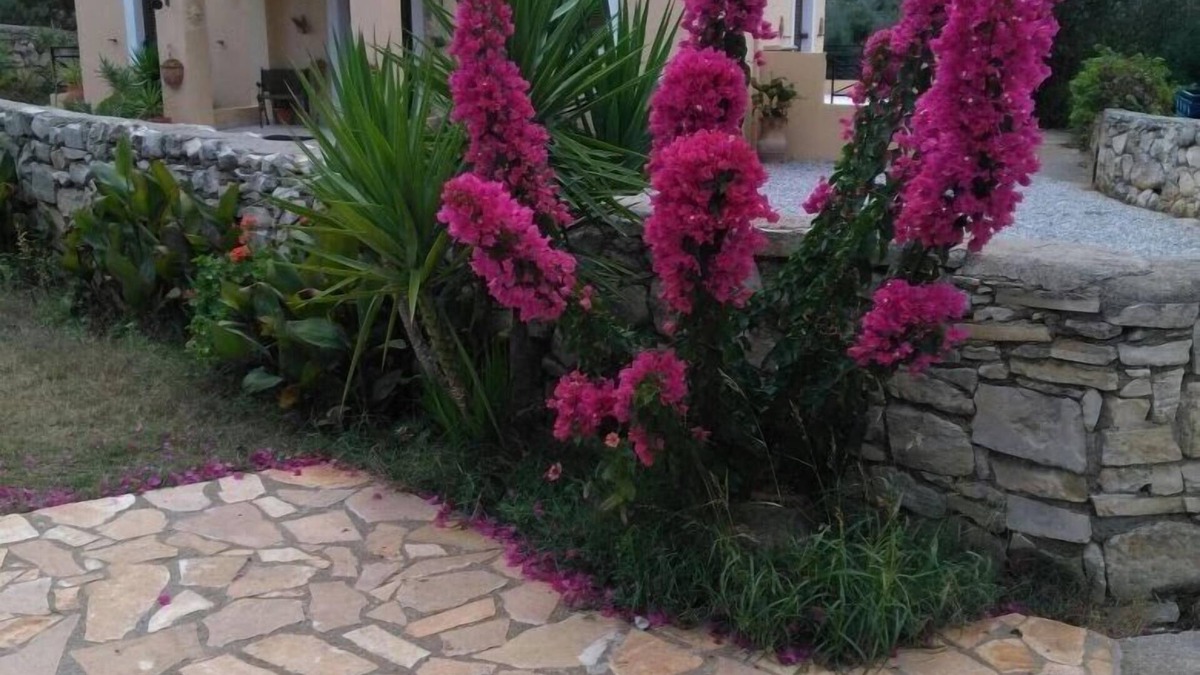 Monopari Villa | Villa with stunning views of the 'White Mountains'