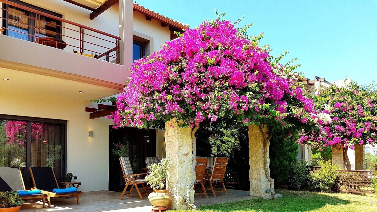 Rio Villa | Villa Xenny (VC Properties)