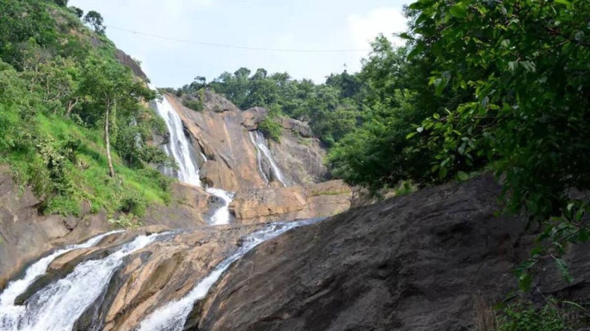Udumbanchola House | VILLAGE HOME STAY - IDUKKI