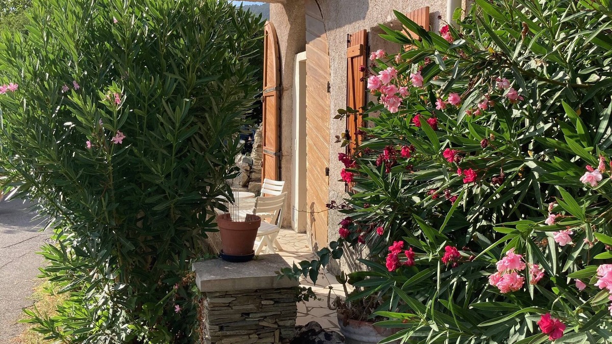 Conchiglio House | Village house 4/6 pers. Cap Corse Barrettali 5 min beach
