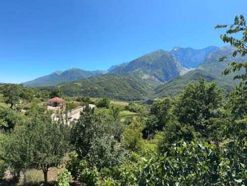 Albania House | Village House