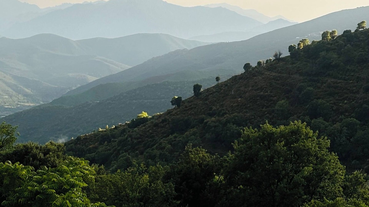 Campitello Bed & Breakfast | Village house in the Corsican mountains, quiet, authentic, terrace with view