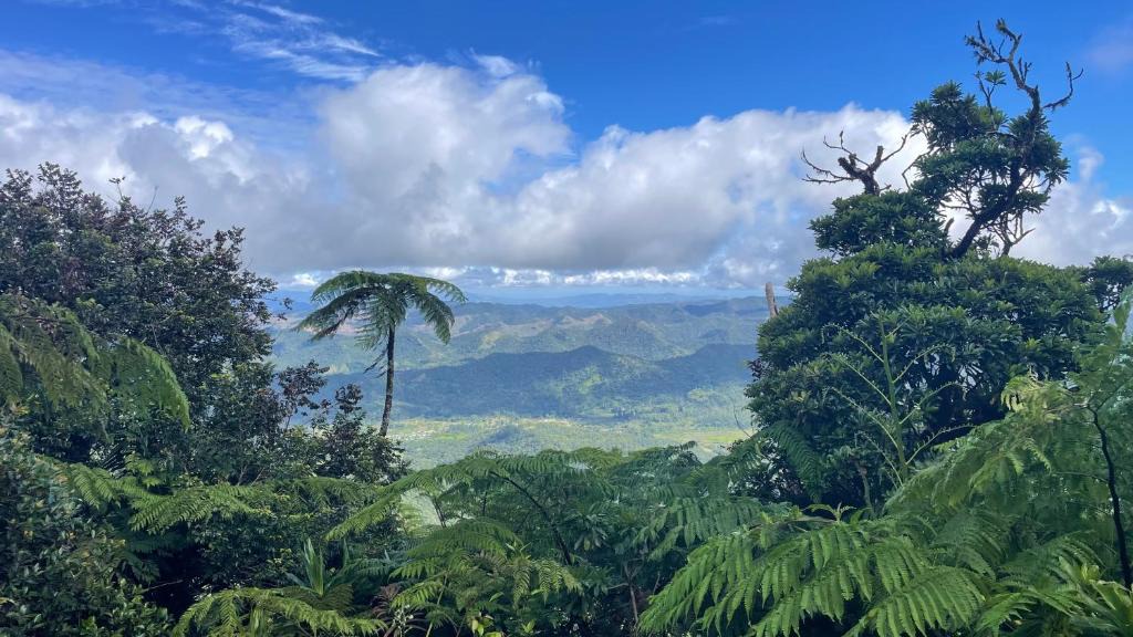 Korolevu House | Village Stay Fiji at Navai Village Fiji