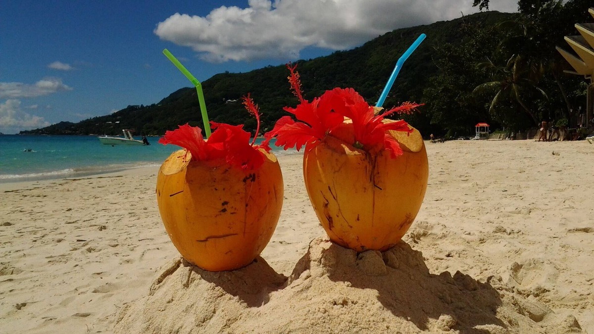 Mahe Island Villa | VILLAS 7 people 130