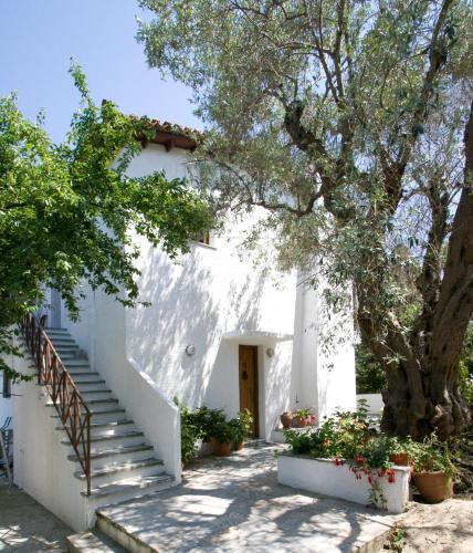 Agia Paraskevi Apartment | Villas Alexandra Skiathos