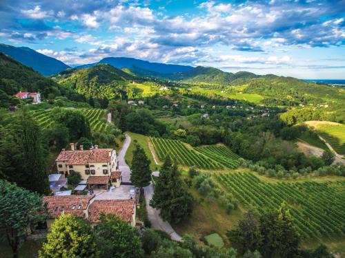 Tarzo House | Ville d'Arfanta