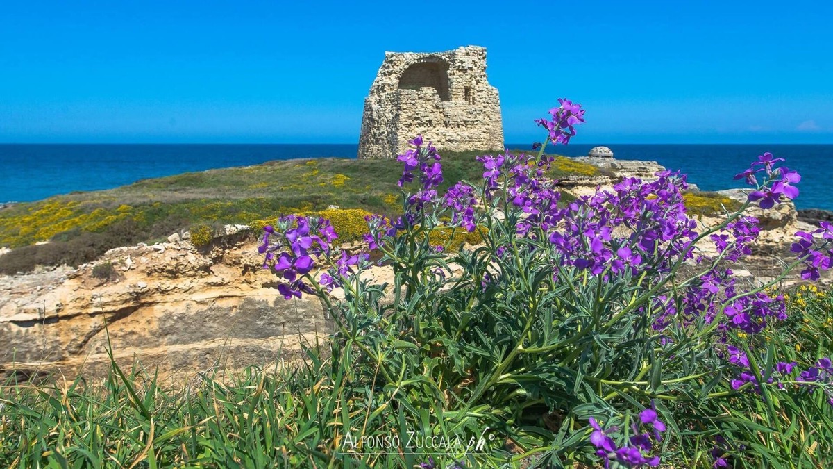 San Foca Villa | Villetta Cati - SAN FOCA - LECCE With garden, porch and parking space