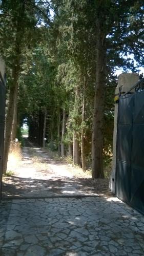 San Vito dei Normanni Villa | villetta tranquilla