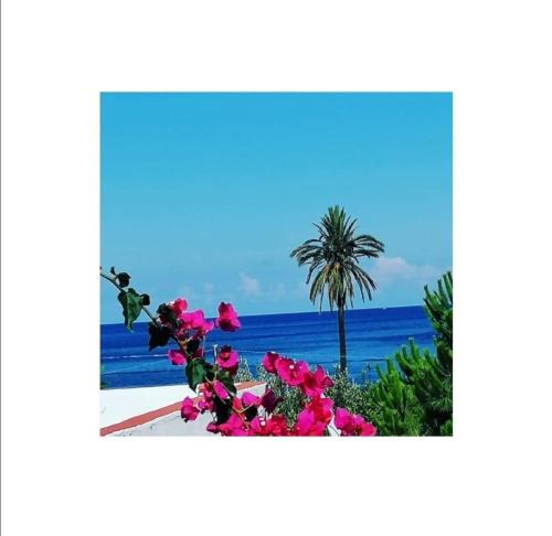 Lingua Bed & Breakfast | Villino Miraglia