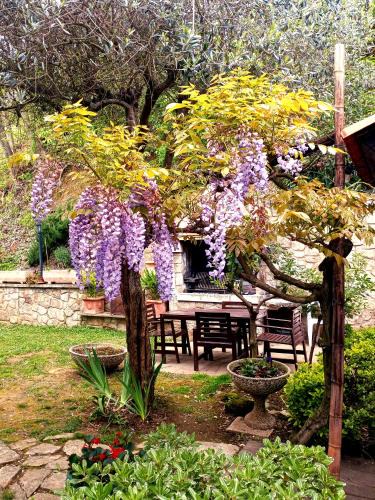 Albettone House | Villino San Silvestro