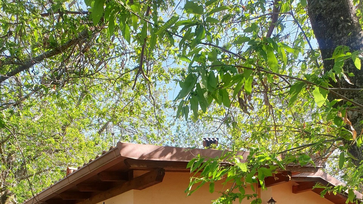 Segni Apartment | Villino surrounded by nature
