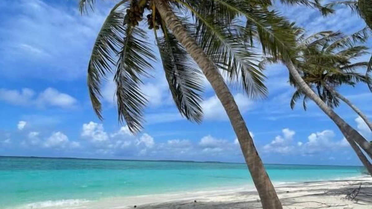 Hanimaadhoo Hotel | ViluVeli Holiday Retreat