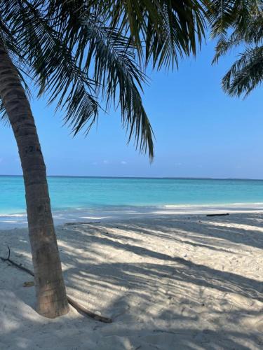 Hanimaadhoo Hotel | Viluveli Holiday Retreat