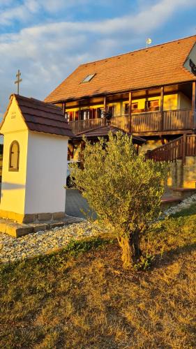 Skalica House | Vinárstvo u Kohúta