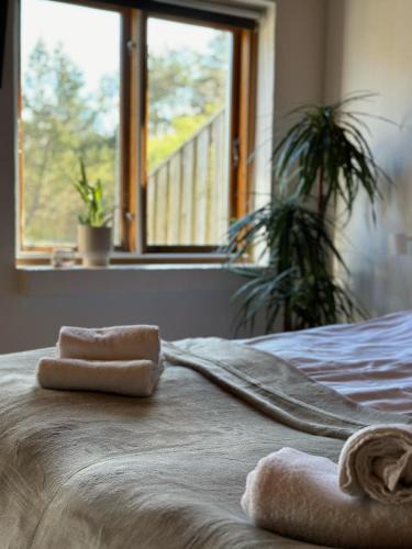 Jerup Apartment | Vindvadet Ferielejligheder
